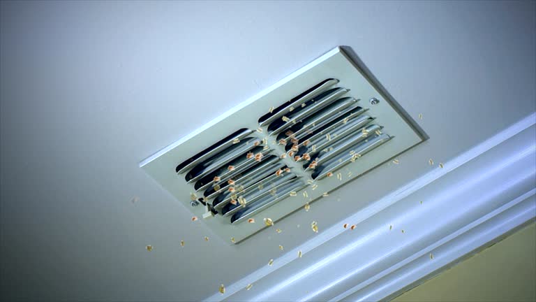 Best Duct Cleaning for Offices  in Piney Green, NC